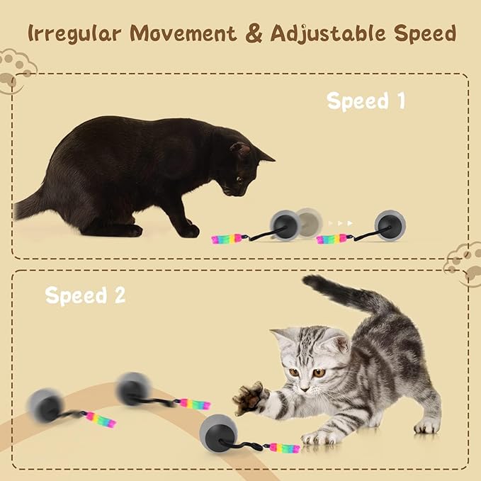Interactive Cat Toys for Indoor Cats, DIY 5 in 1 Automatic Moving Cat Ball Toys/Puppies Toys with LED Rainbow Lights, Smart Sounds&Touch Control Cat Toys,USB Rechargeable (Grey)